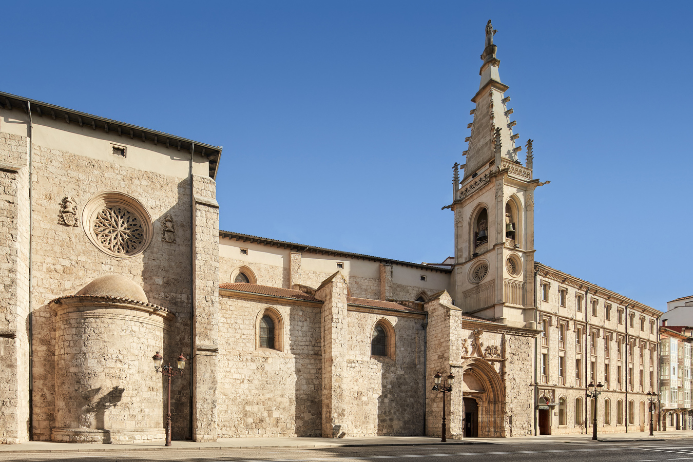 XXX  / Producao do fruto Pitaia em Vila Nova de Cacela no Algarve, 4 de Setembro 2024 / creditos: FILIPE FARINHA/LUSA