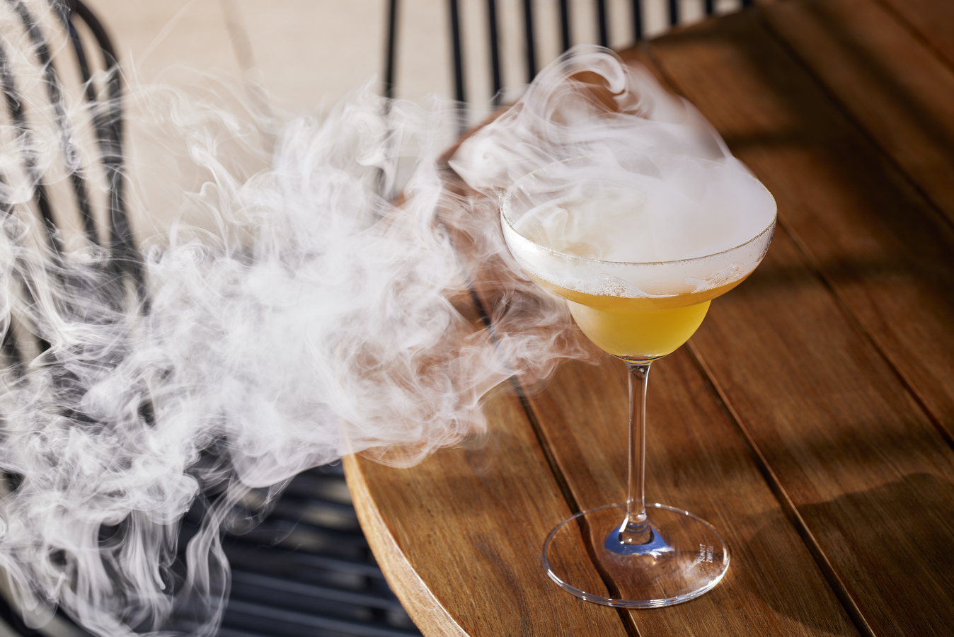 XXX  / Producao do fruto Pitaia em Vila Nova de Cacela no Algarve, 4 de Setembro 2024 / creditos: FILIPE FARINHA/LUSA