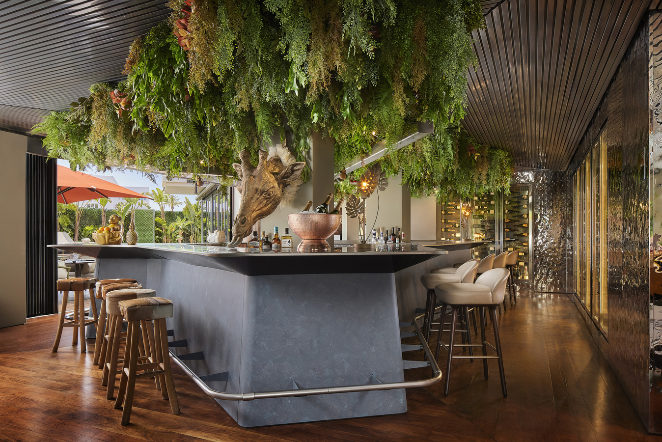 XXX  / Producao do fruto Pitaia em Vila Nova de Cacela no Algarve, 4 de Setembro 2024 / creditos: FILIPE FARINHA/LUSA