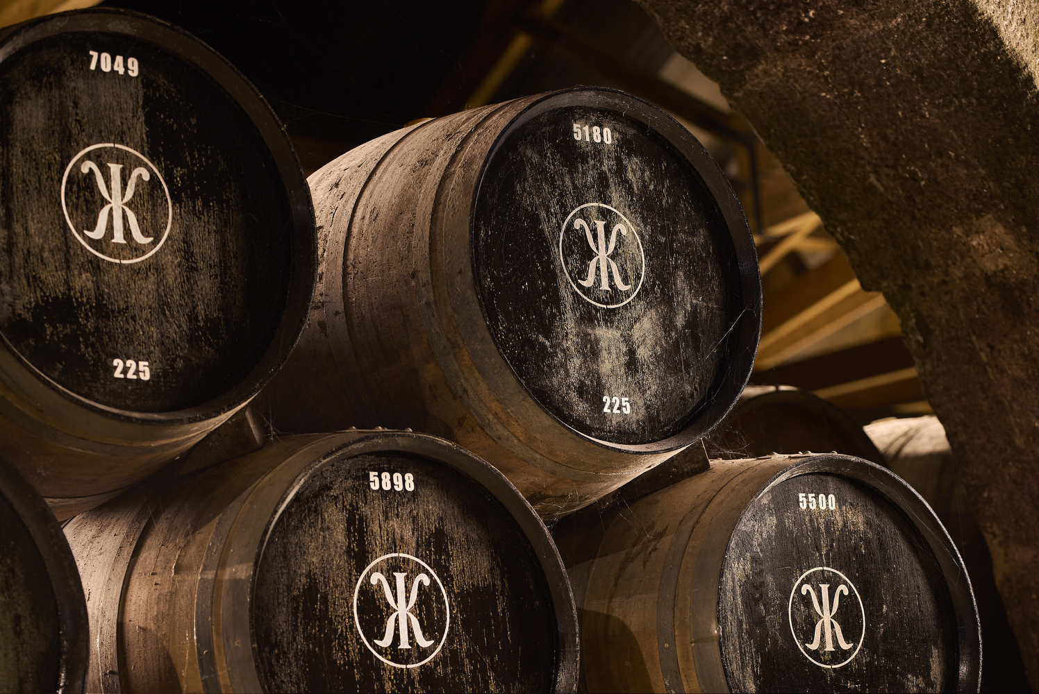 XXX  / Producao do fruto Pitaia em Vila Nova de Cacela no Algarve, 4 de Setembro 2024 / creditos: FILIPE FARINHA/LUSA